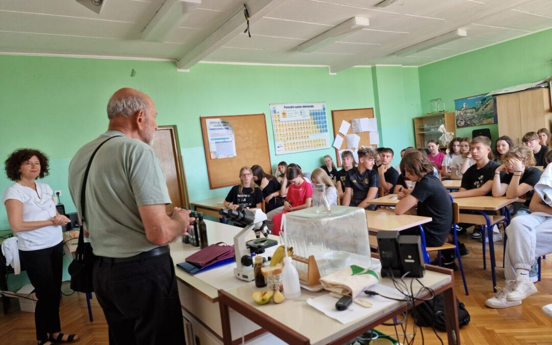 Edukacija o maslinarstvu u Istri